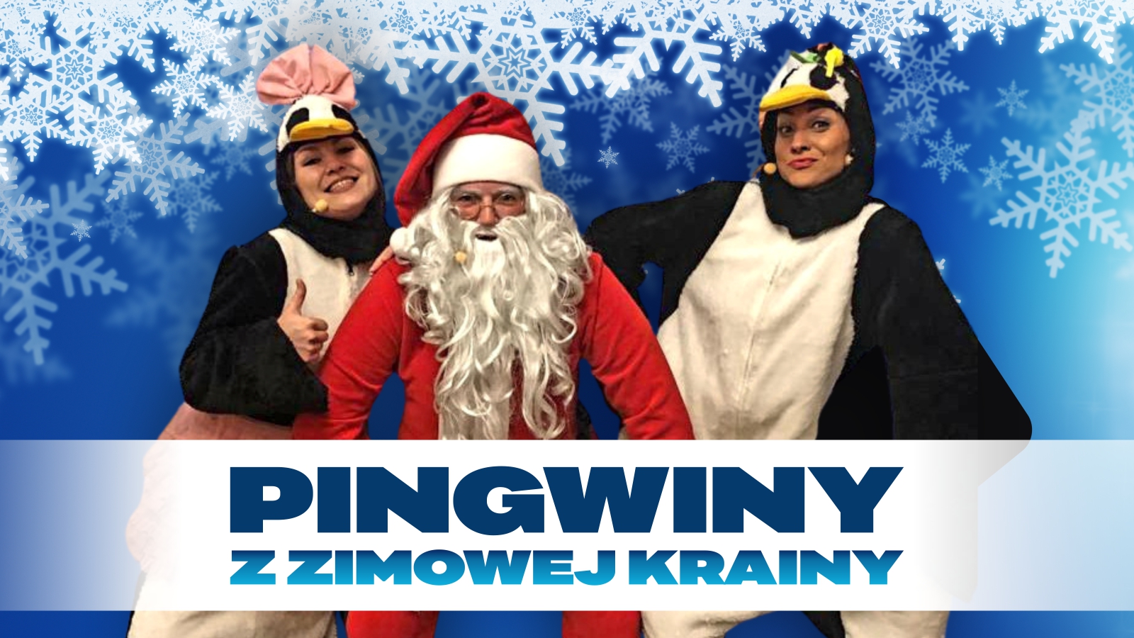 pingwiny z zimowej krainy